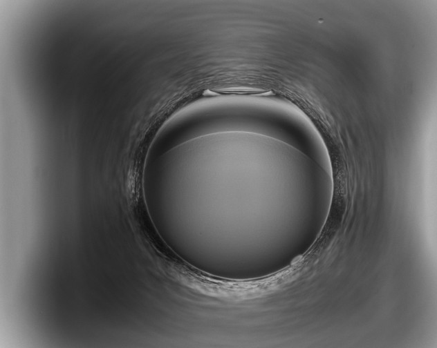 X0000097860031200803211303