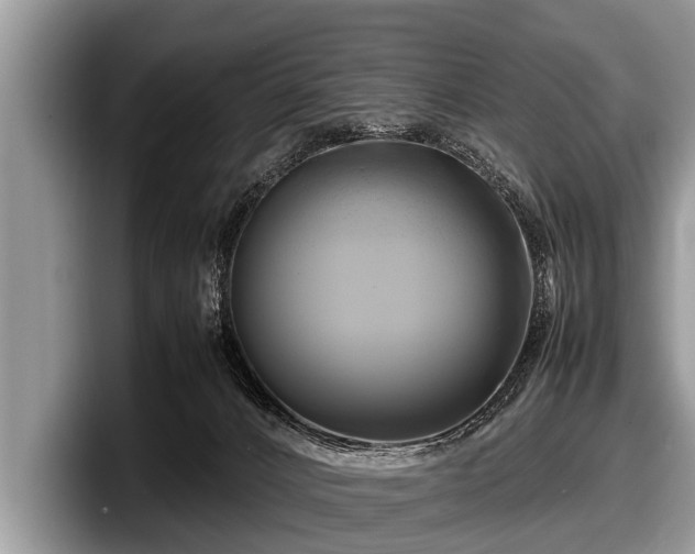 X0000097860032200803211303