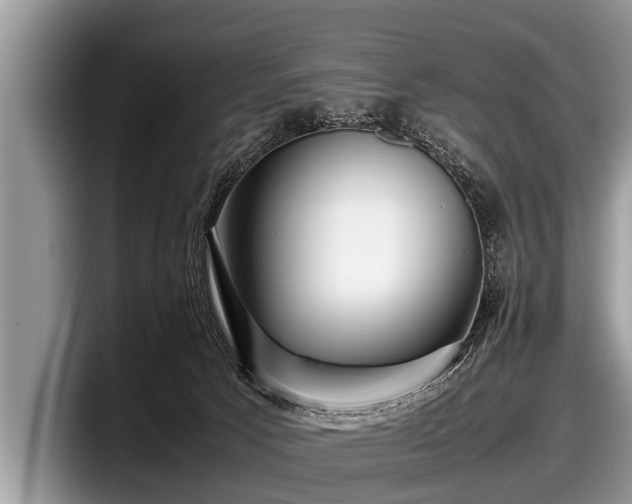 X0000097860033200803211303