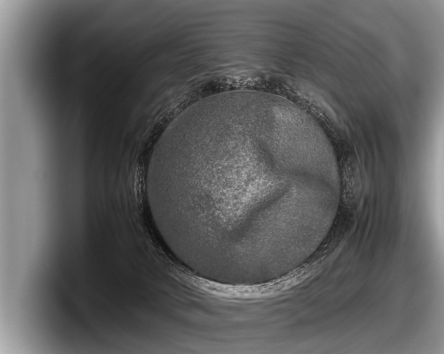 X0000097860034200803211303