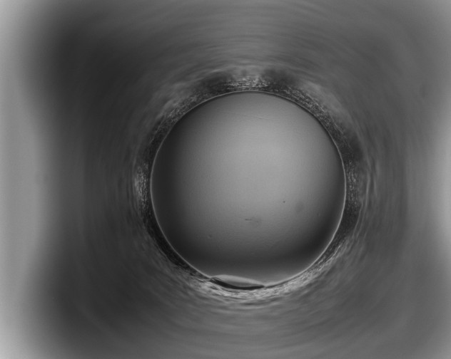 X0000097860035200803211303