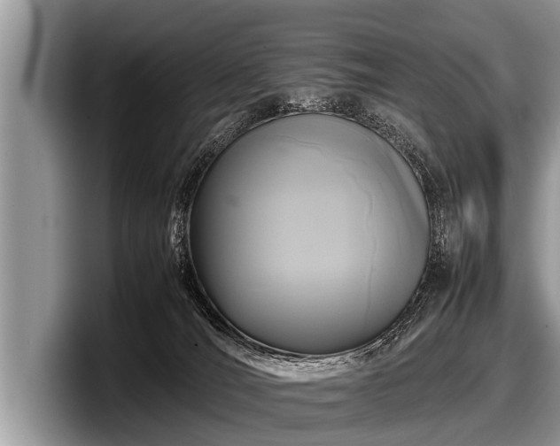 X0000097860036200803211303