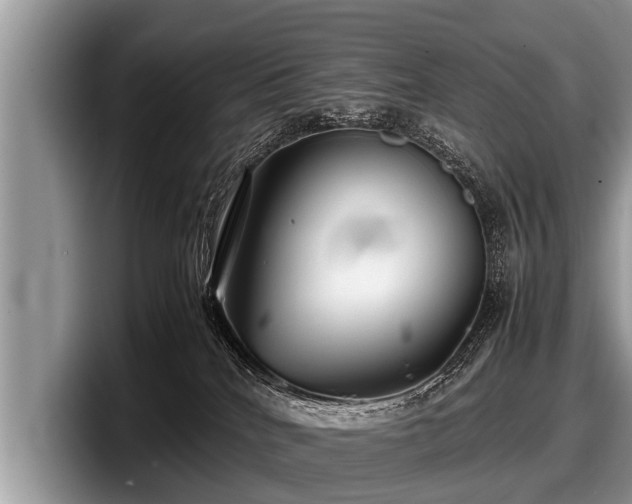 X0000097860040200803211303