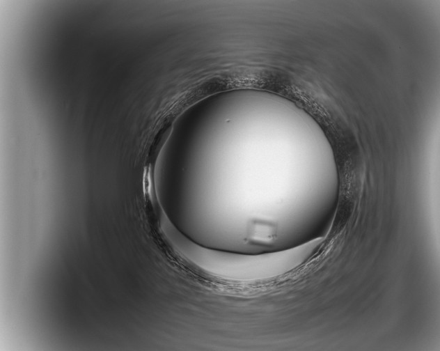 X0000097860041200803211303