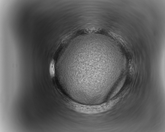 X0000097860042200803211303