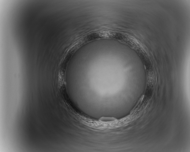 X0000097860043200803211303