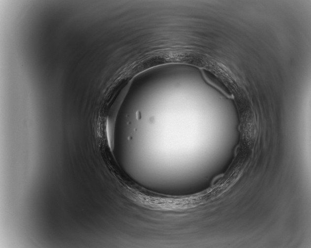 X0000097860044200803211303