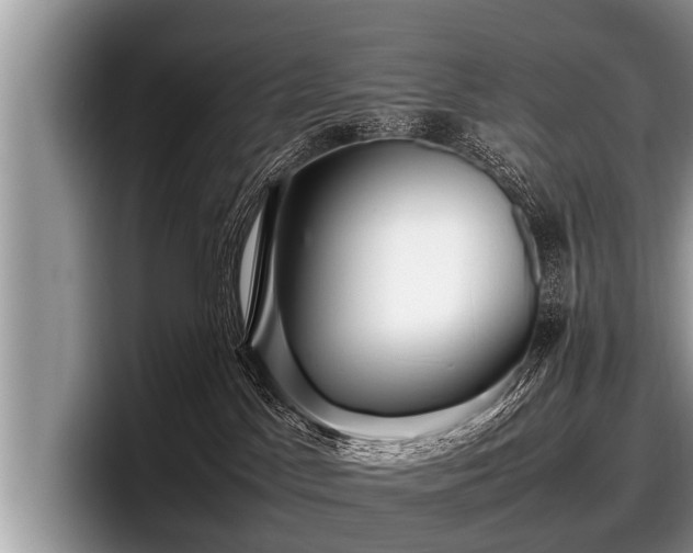 X0000097860045200803211303