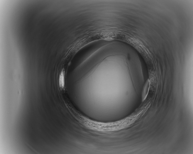 X0000097860046200803211303