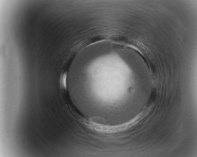 X0000097860047200803211303