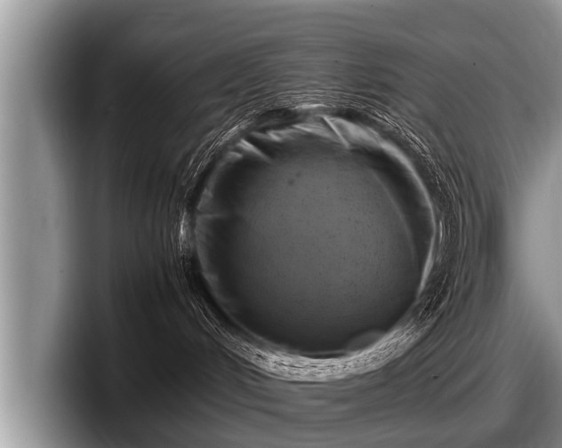 X0000097860048200803211303