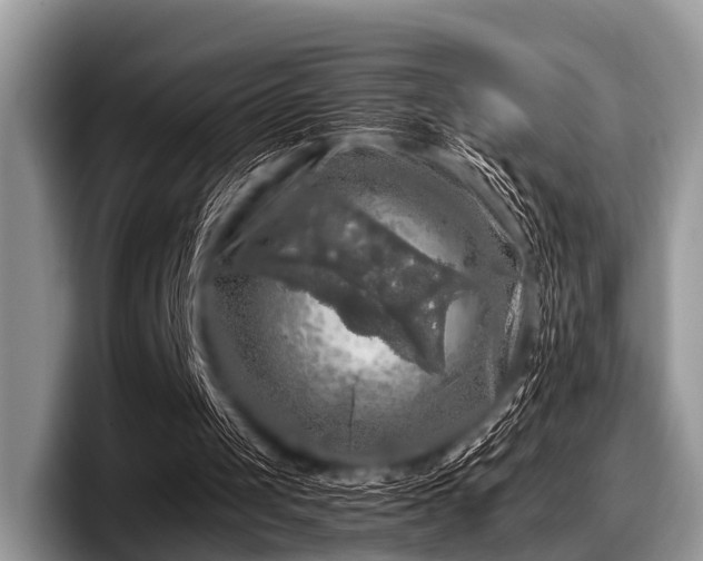 X0000097860049200803211302