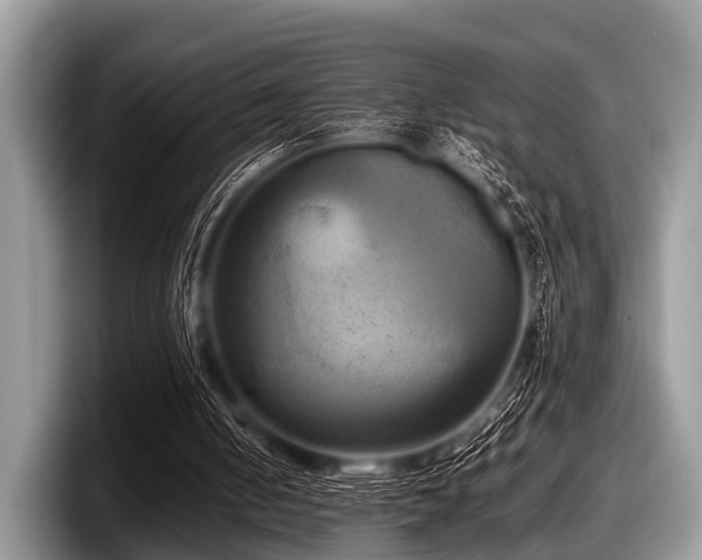 X0000097860050200803211302