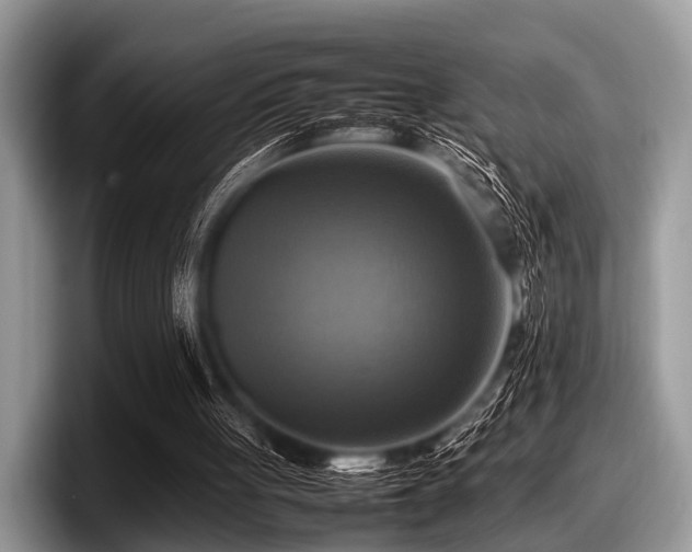 X0000097860051200803211302