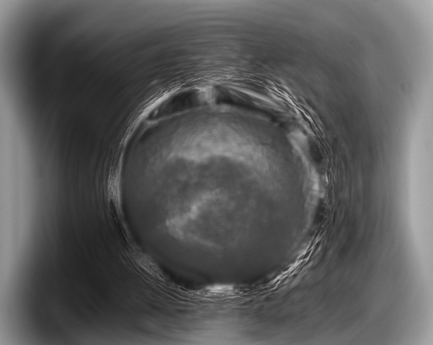 X0000097860052200803211302