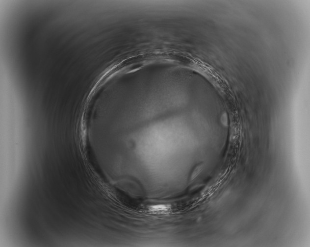 X0000097860053200803211302