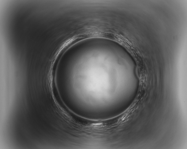 X0000097860054200803211302