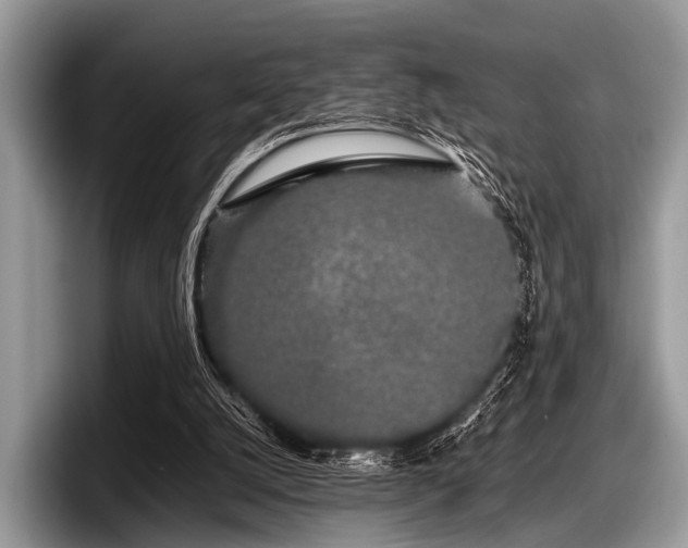 X0000097860056200803211302