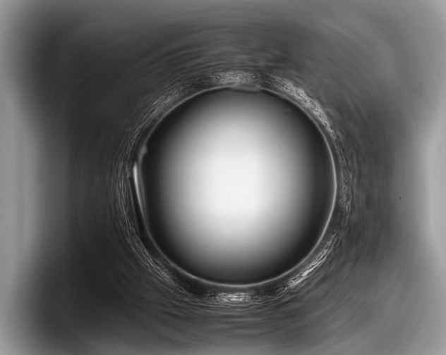 X0000097860057200803211302