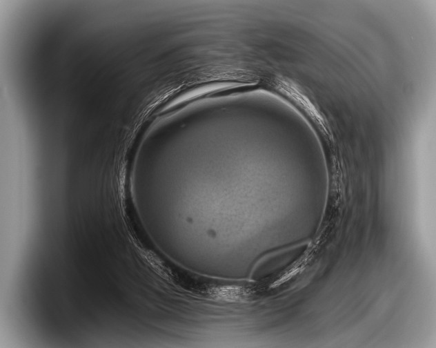 X0000097860058200803211302