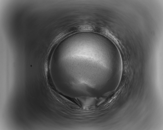 X0000097860059200803211302