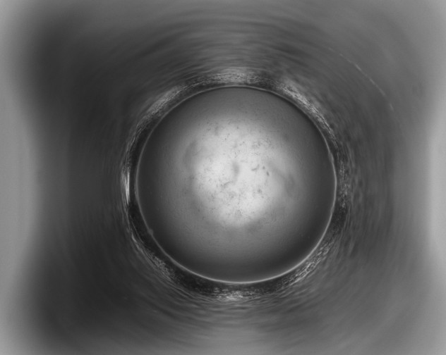 X0000097860062200803211302