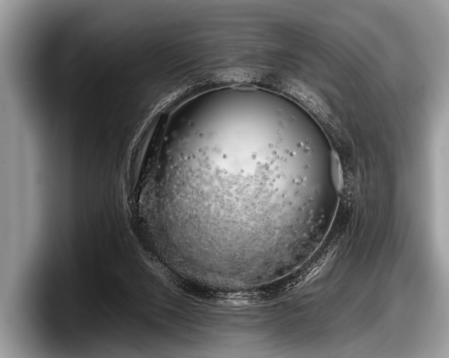 X0000097860064200803211302