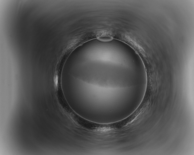 X0000097860067200803211302