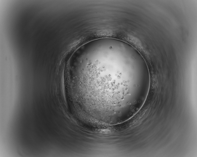 X0000097860068200803211302