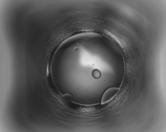 X0000097860069200803211302