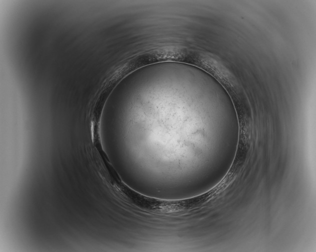 X0000097860070200803211302