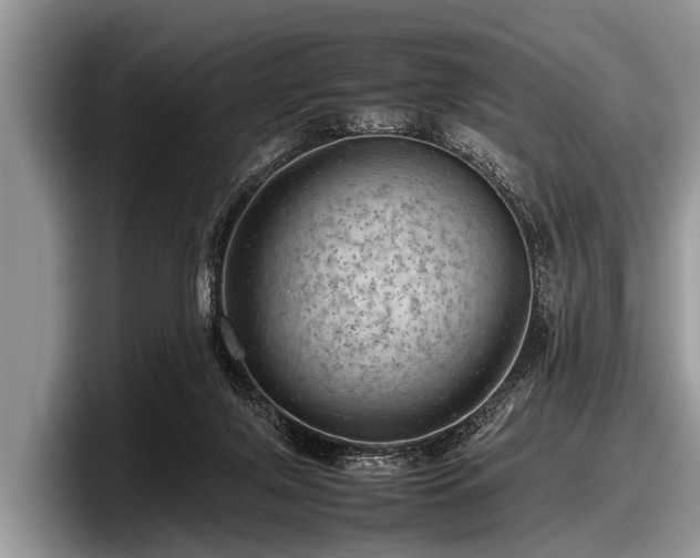 X0000097860071200803211302