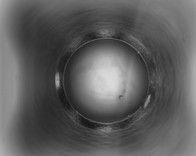 X0000097860075200803211302