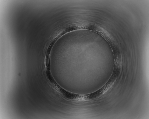 X0000097860076200803211303