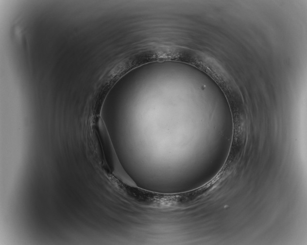 X0000097860078200803211303