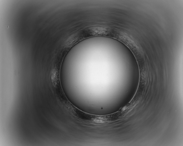 X0000097860079200803211303