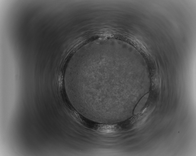 X0000097860081200803211303