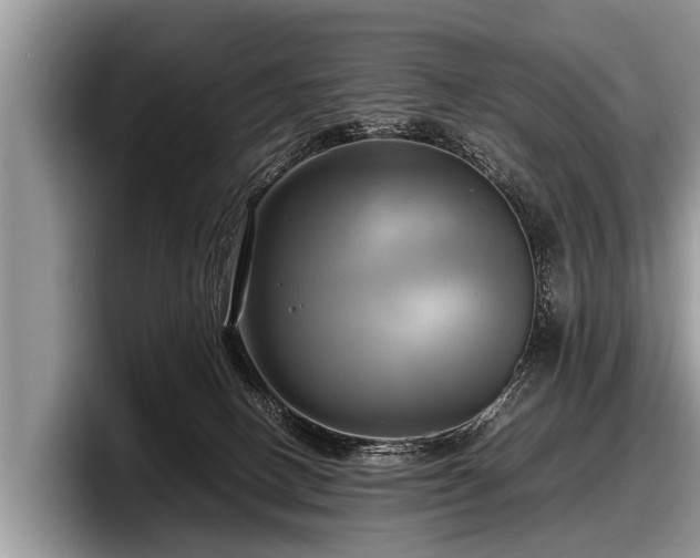 X0000097860082200803211303