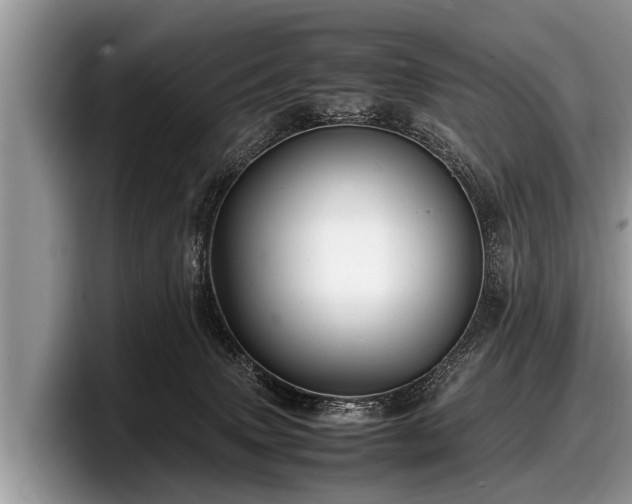 X0000097860083200803211303