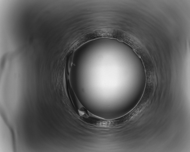 X0000097860084200803211303
