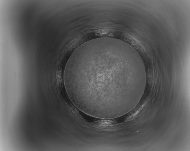 X0000097860085200803211303