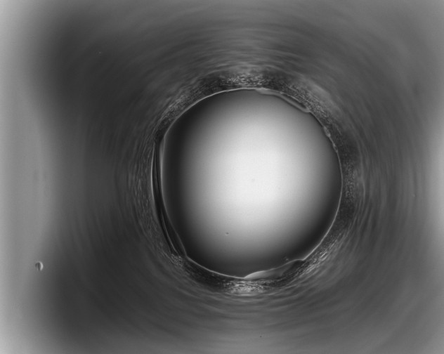 X0000097860088200803211303