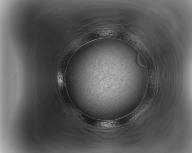 X0000097860089200803211303