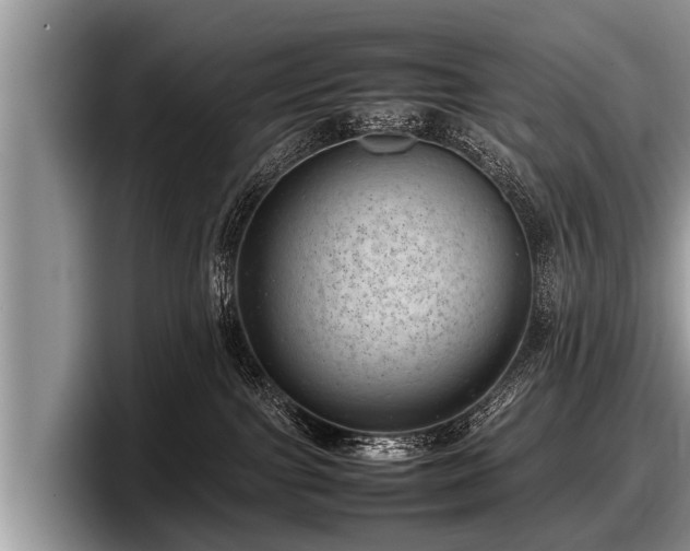 X0000097860091200803211303