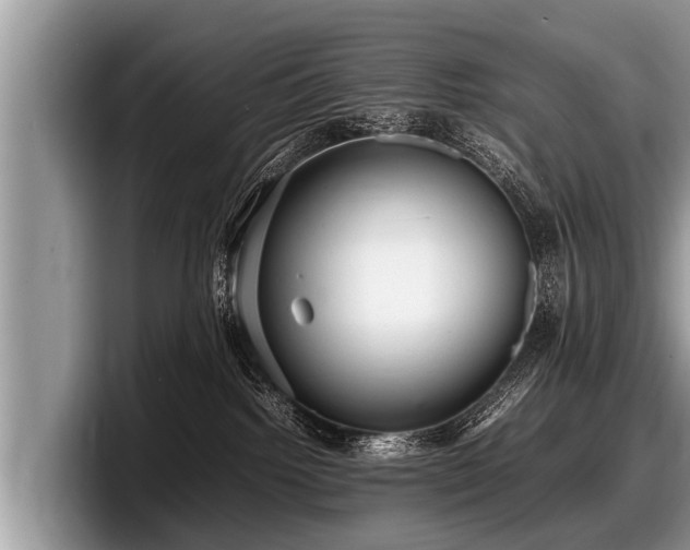 X0000097860092200803211303