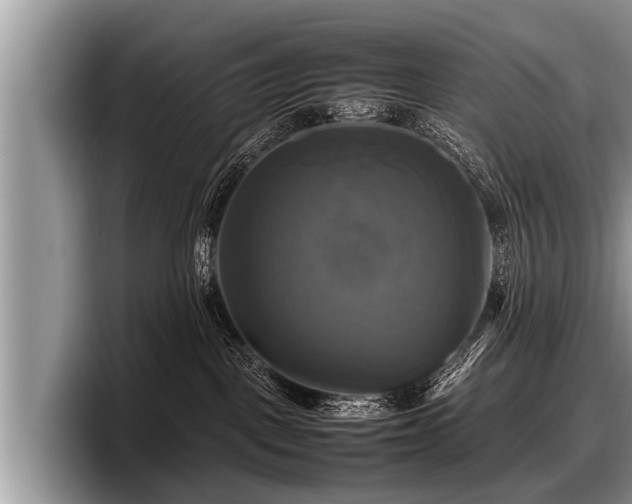 X0000097860093200803211303