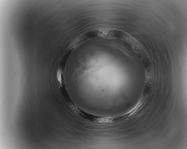 X0000097860094200803211303