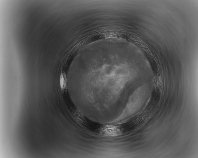 X0000097860095200803211303