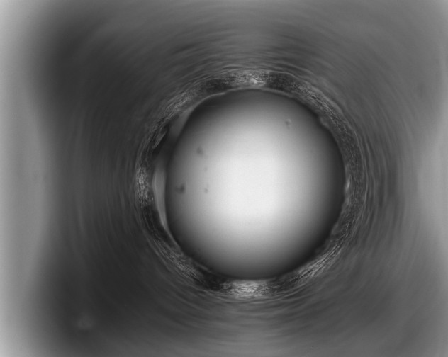 X0000097860096200803211303