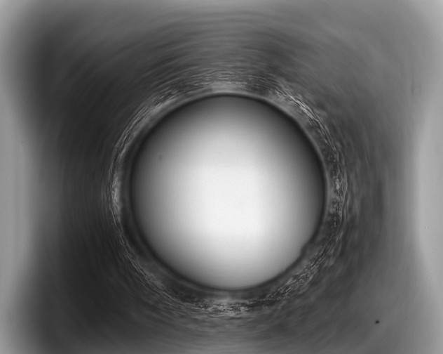 X0000097860098200803211302